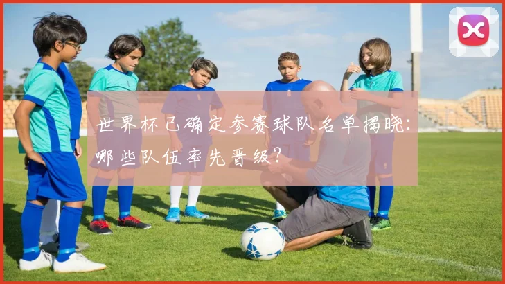 世界杯已确定参赛球队名单揭晓：哪些队伍率先晋级？