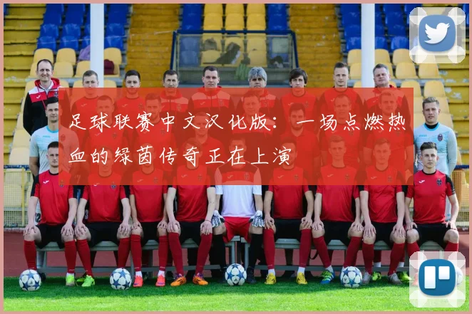 足球联赛中文汉化版：一场点燃热血的绿茵传奇正在上演
